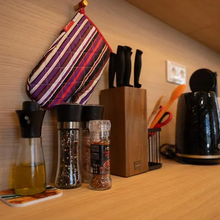 Business & Family Space In Downtown شقة براتسيلافا